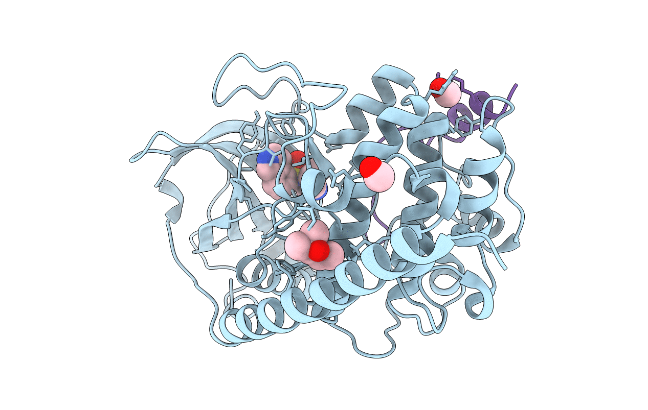 5LCT image