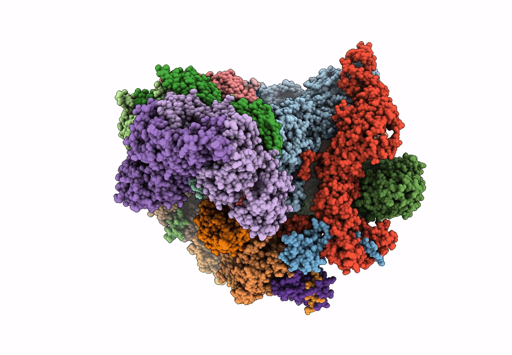 5LCW image