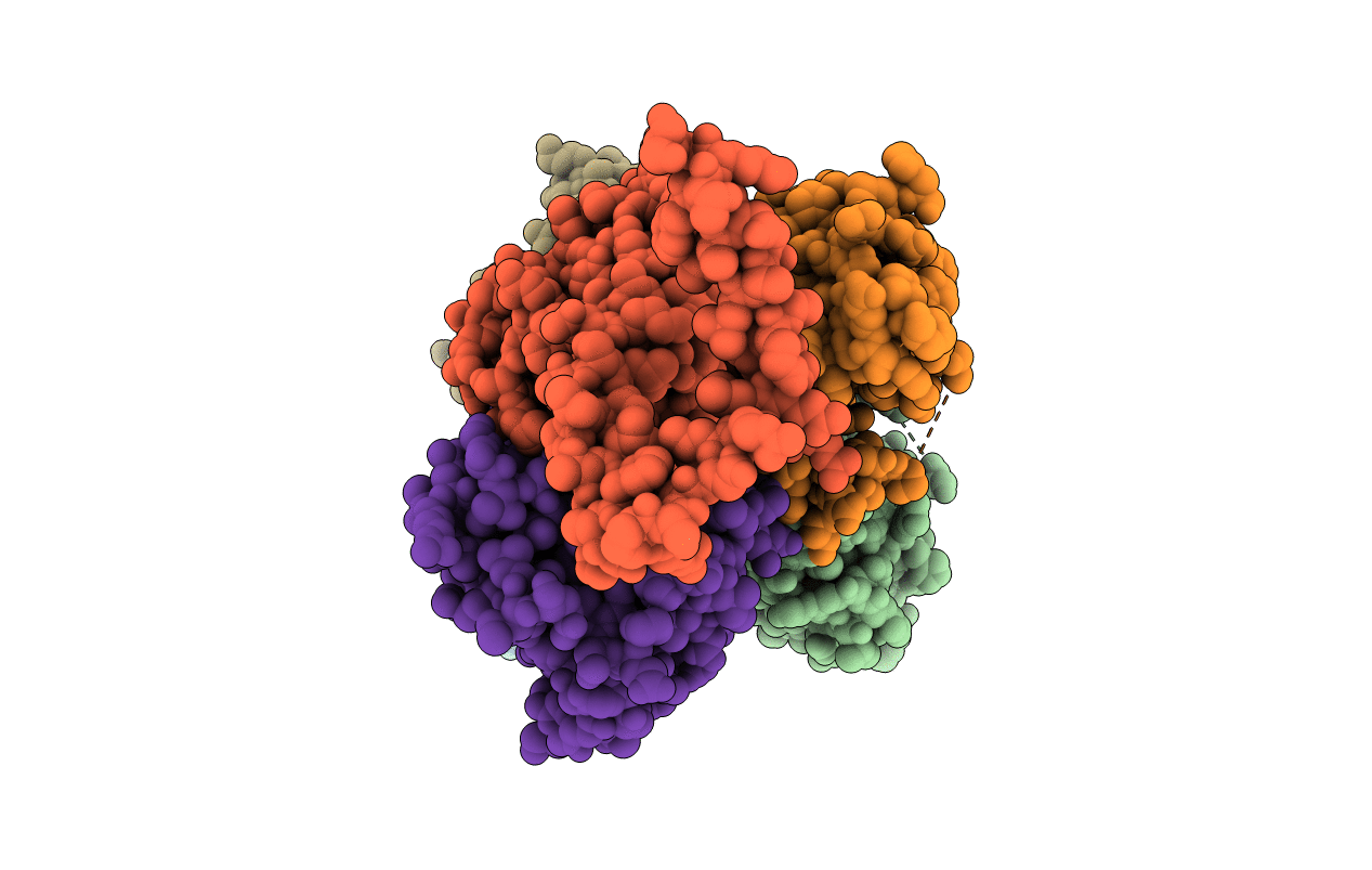 5LDD image