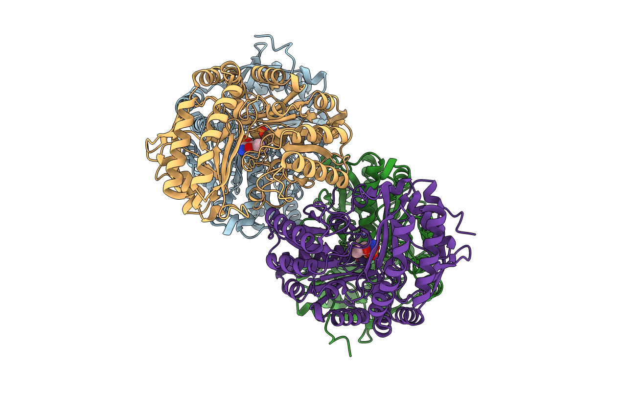 5LHA image