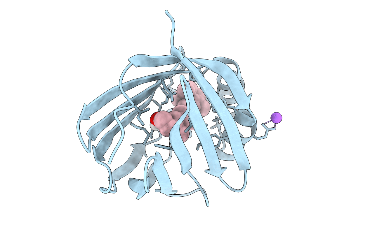 5LJE image