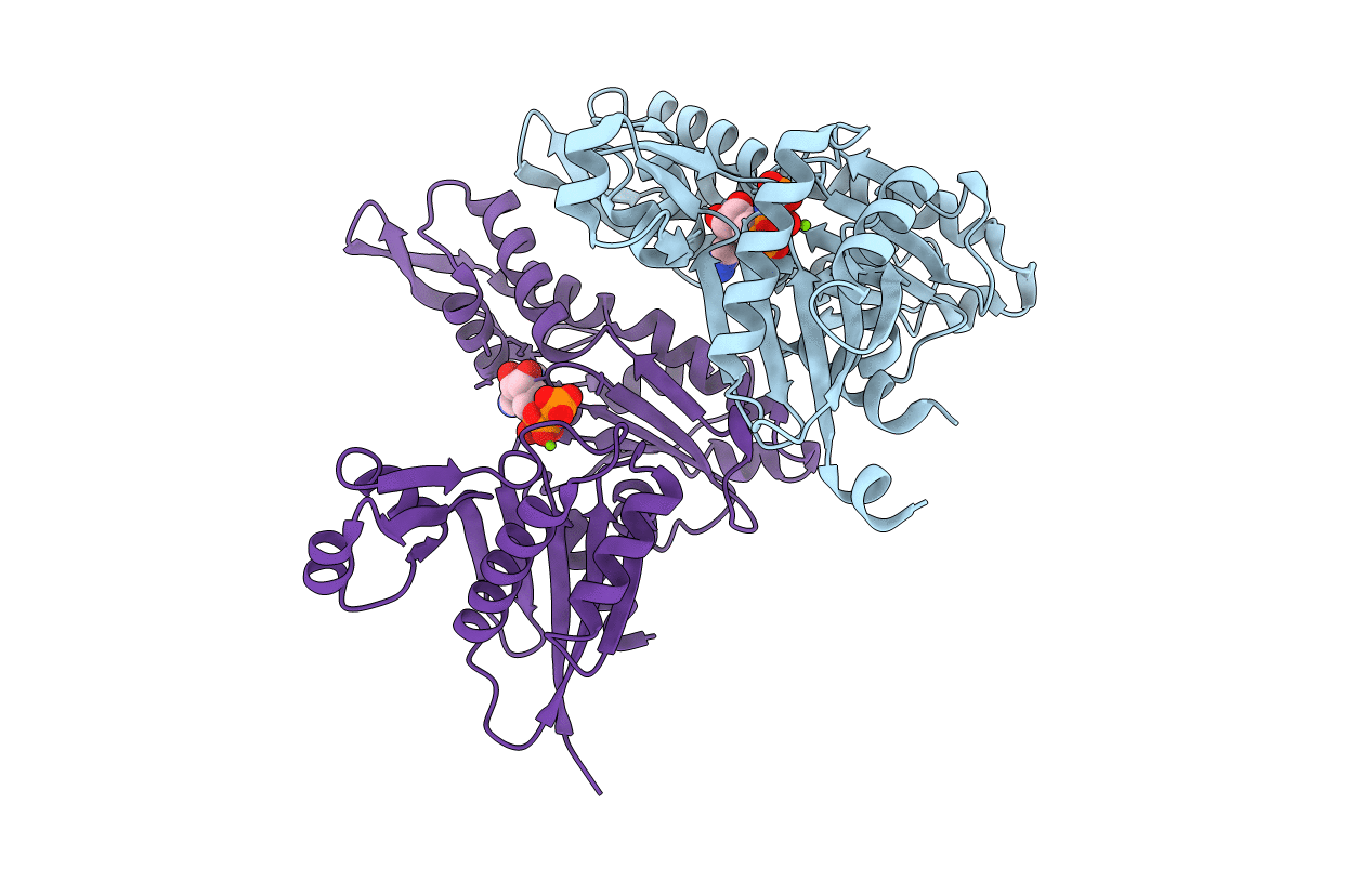 5LJW image