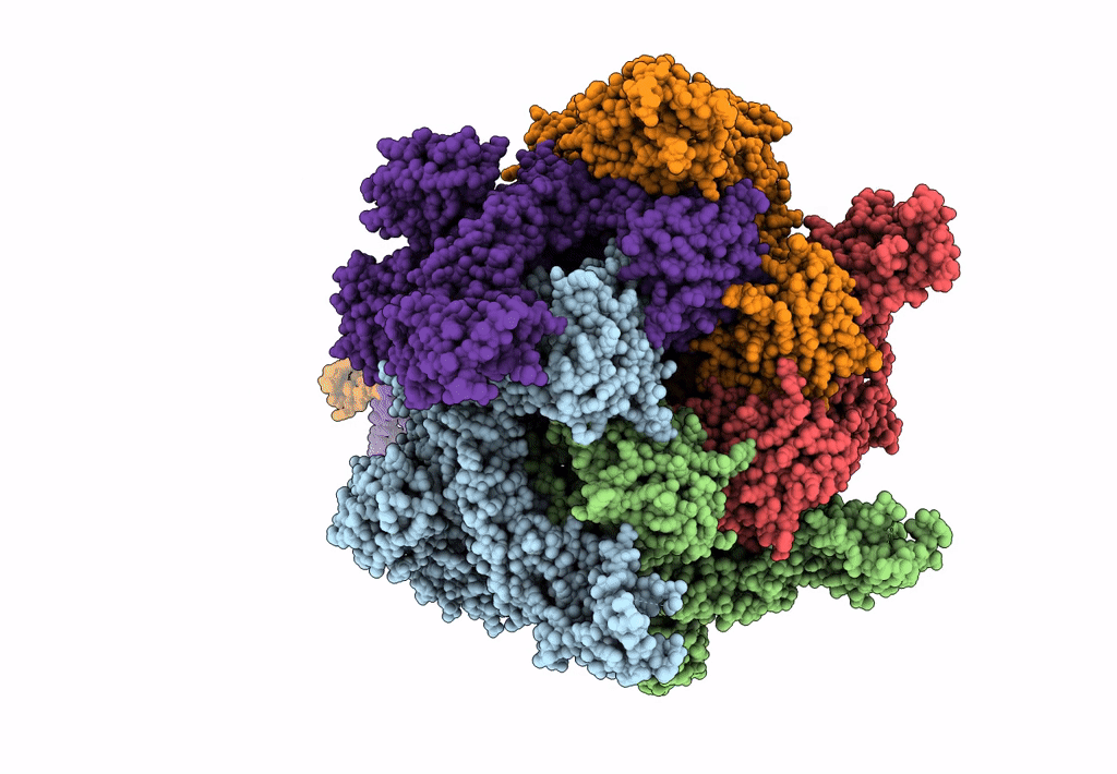 5LKI image