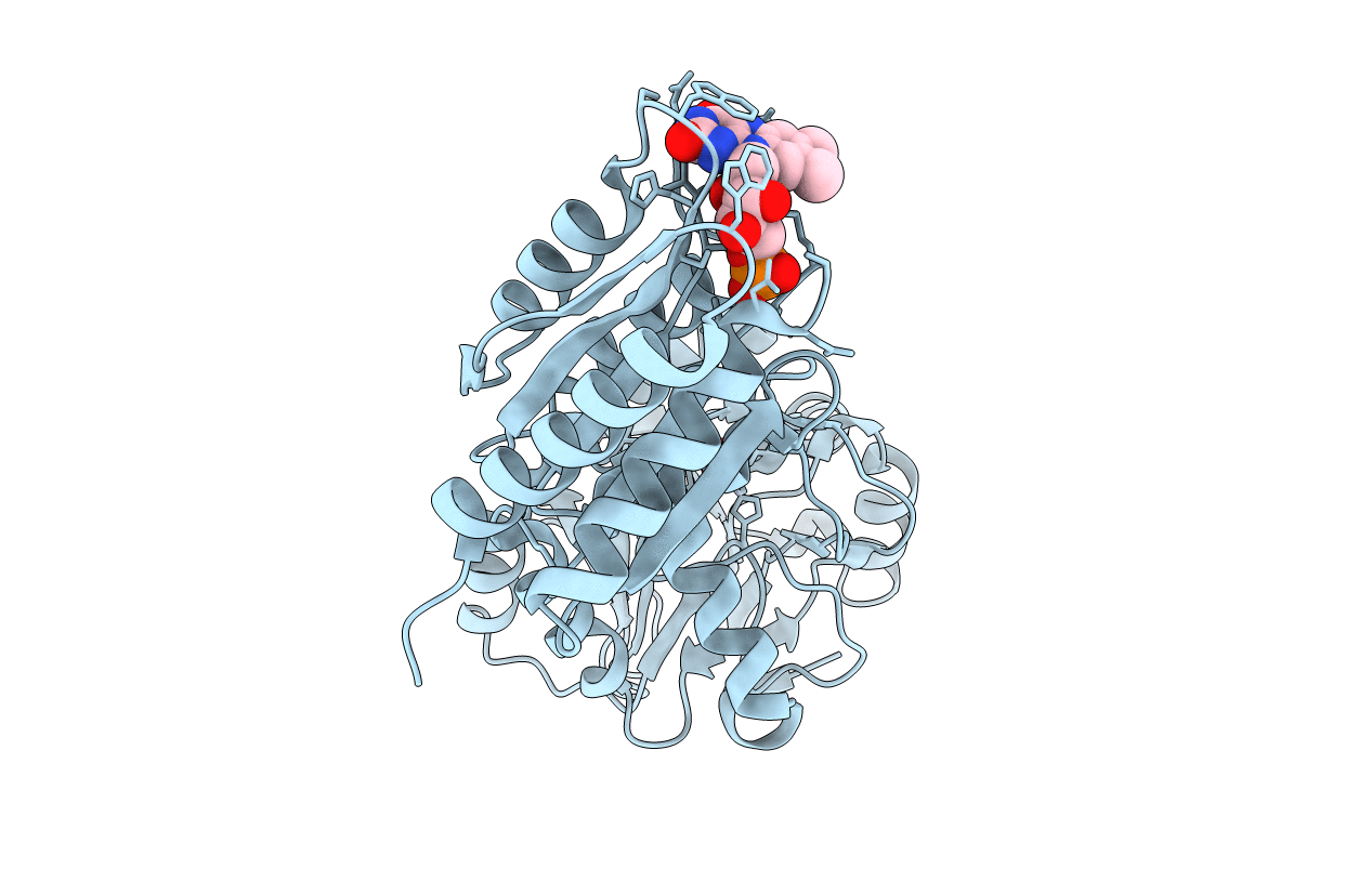 5LLD image