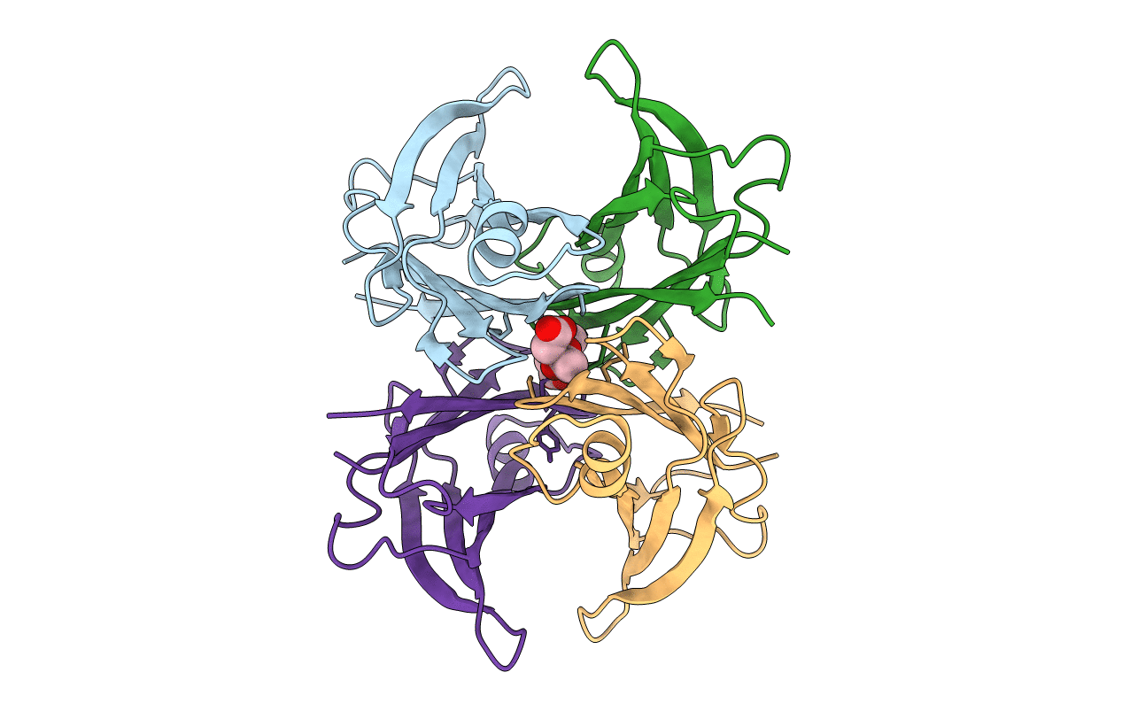 5LLV image