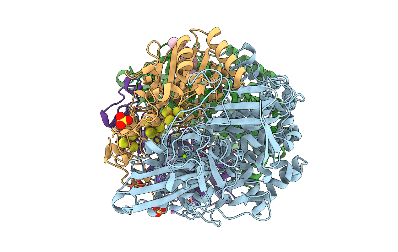 5LMM image