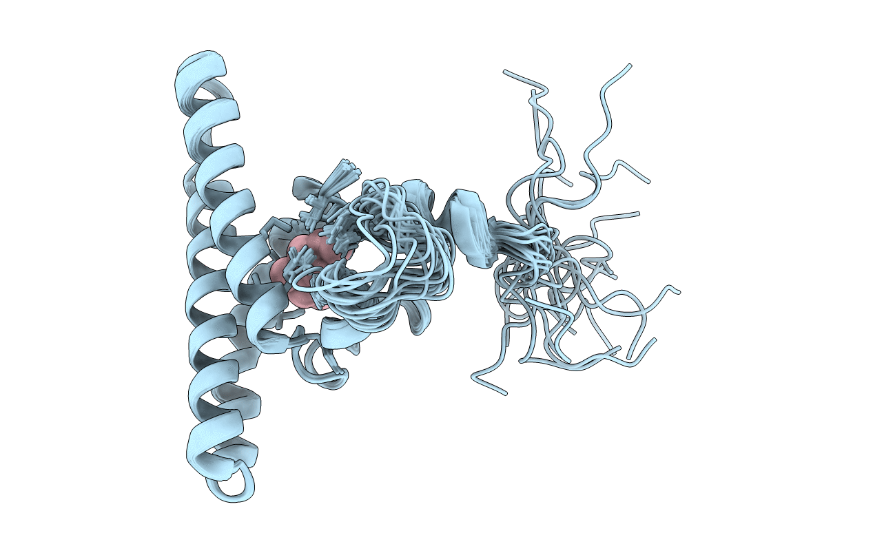 5LNF image