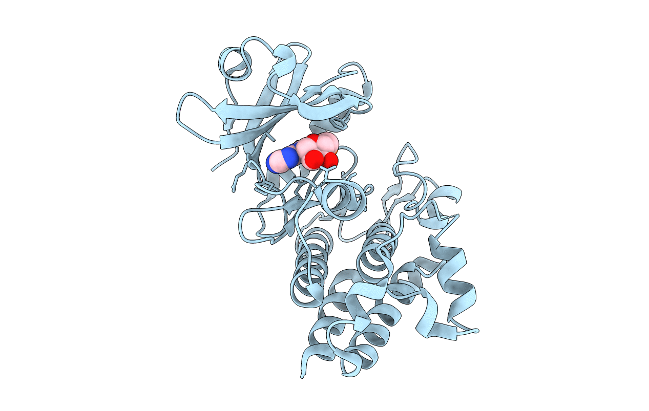 5LPB image