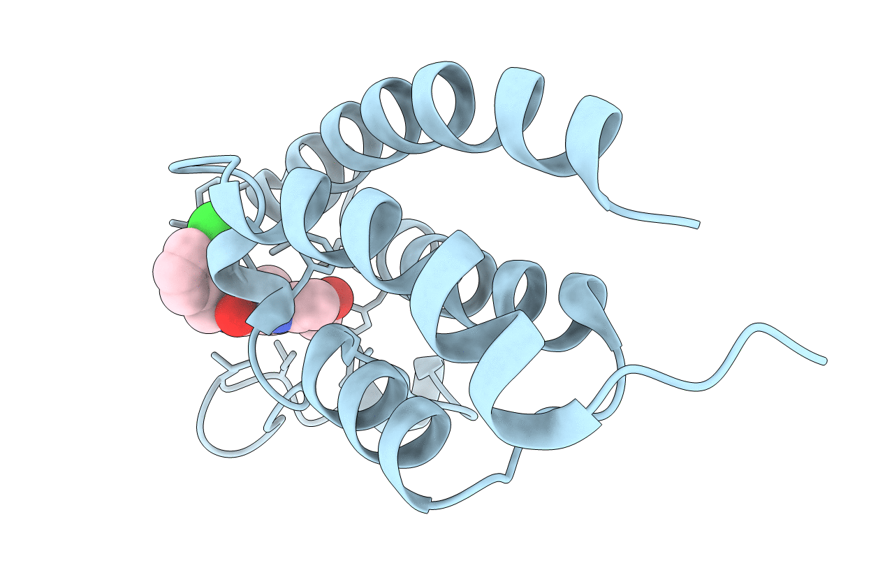5LPJ image