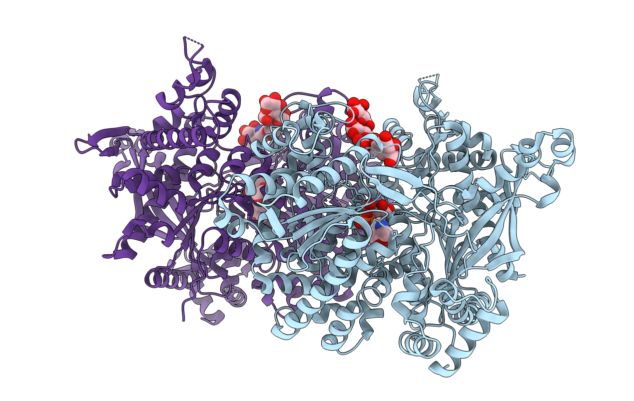5LRB image