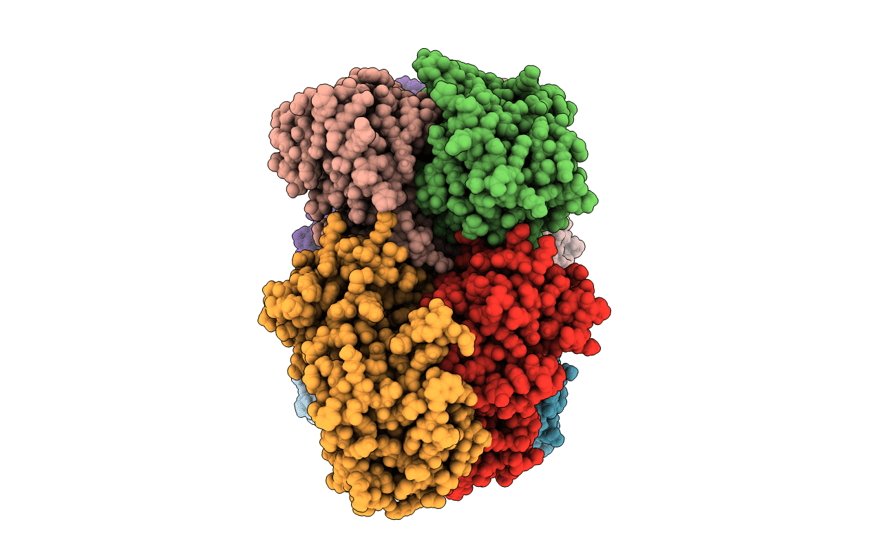 5LRR image