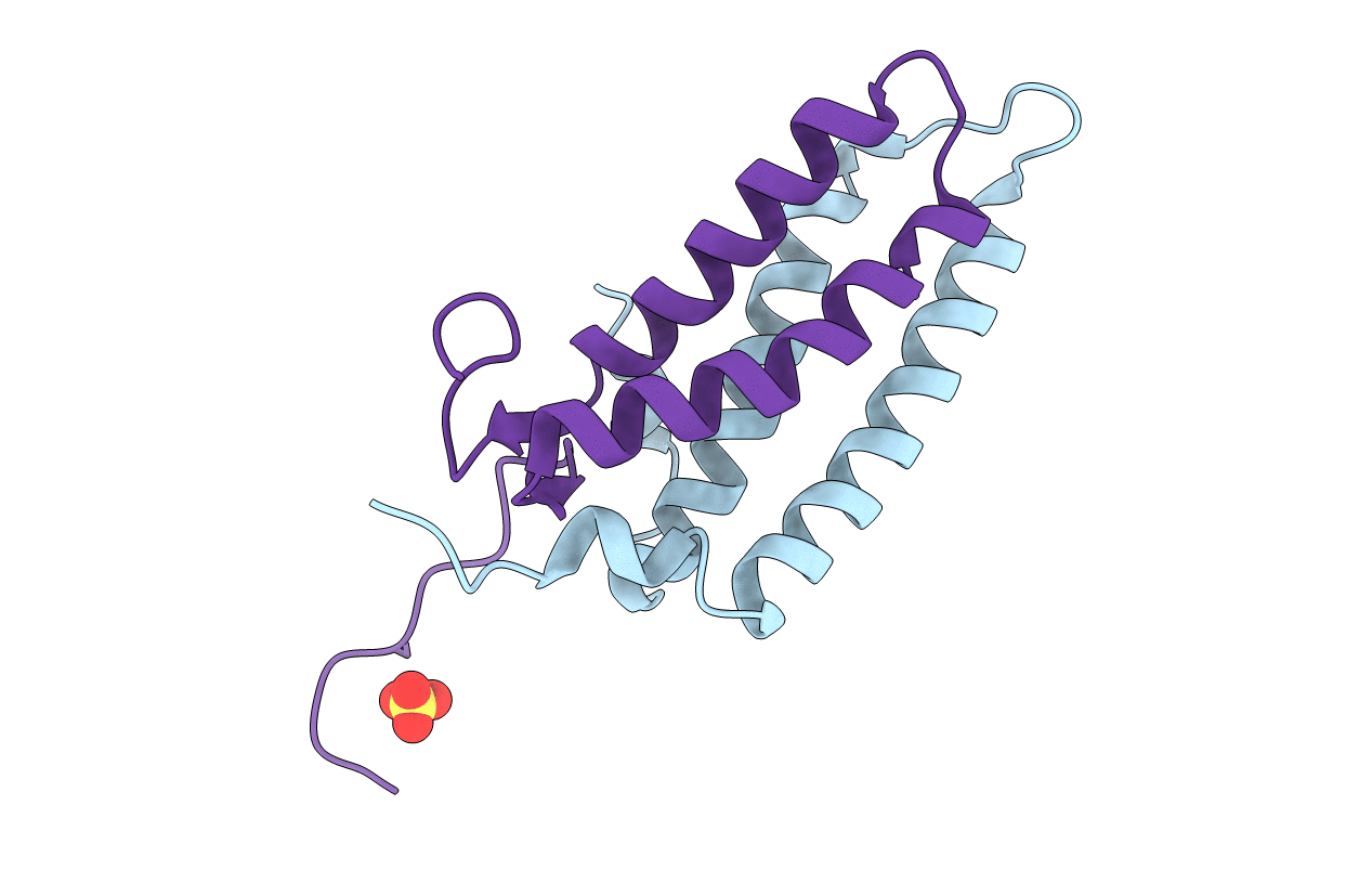 5LSI image