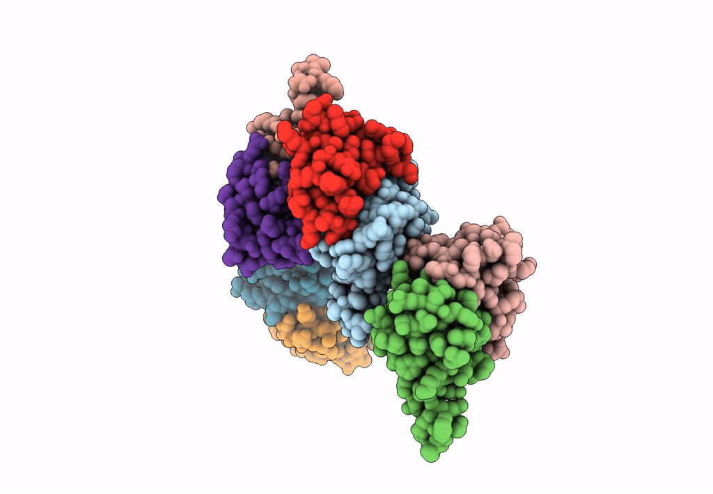 5LSL image