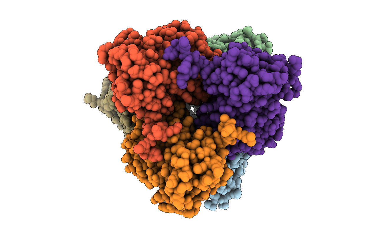 5LTP image