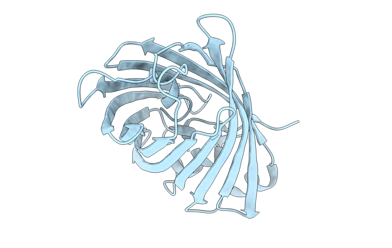 5LTR image