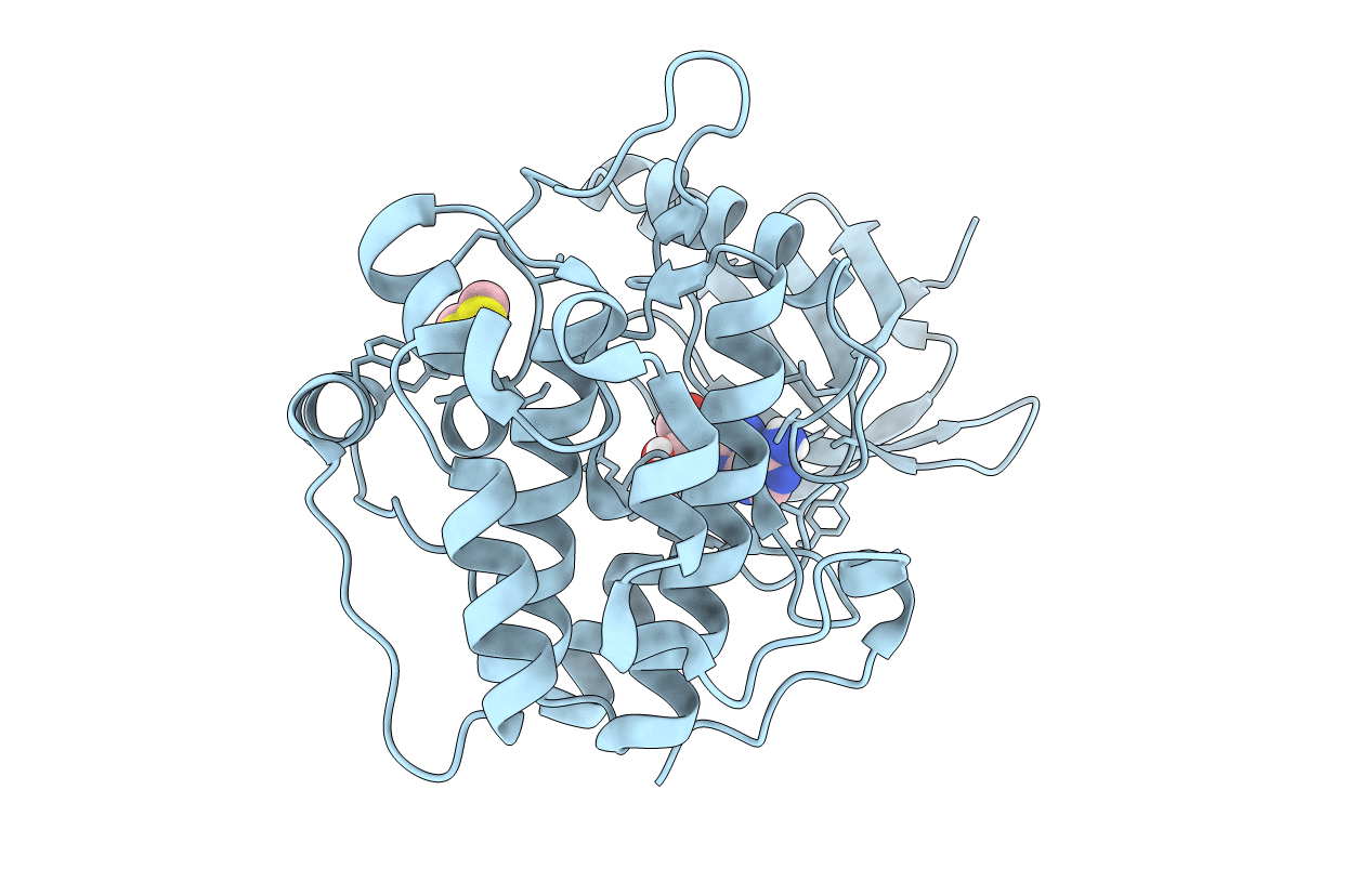 5LVN image