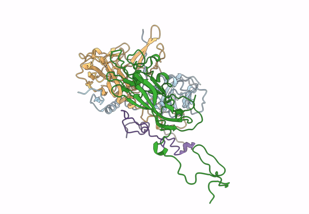 5LWG image