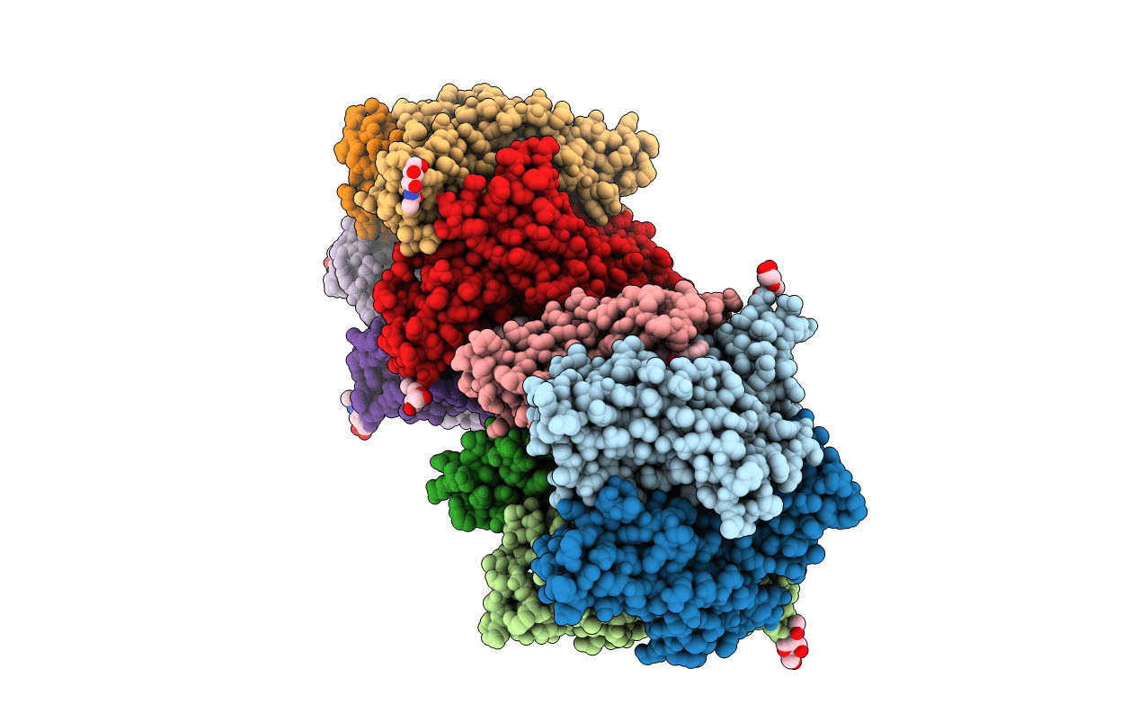 5LXB image