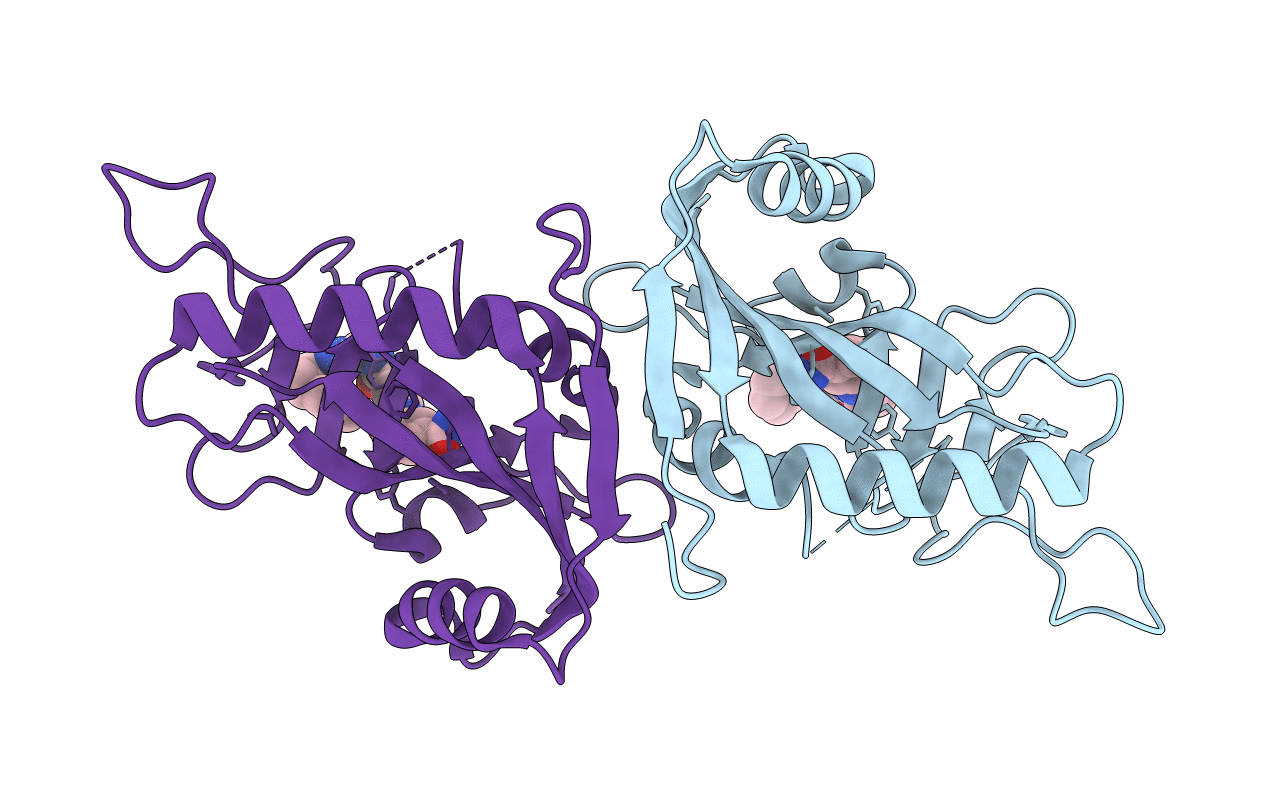 5LXP image