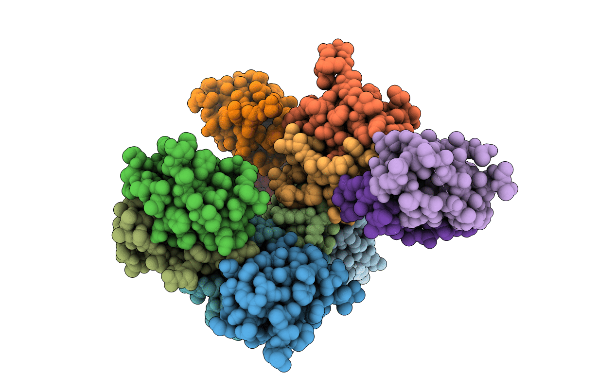 5LXY image