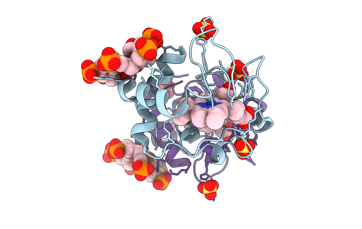 5LYC image