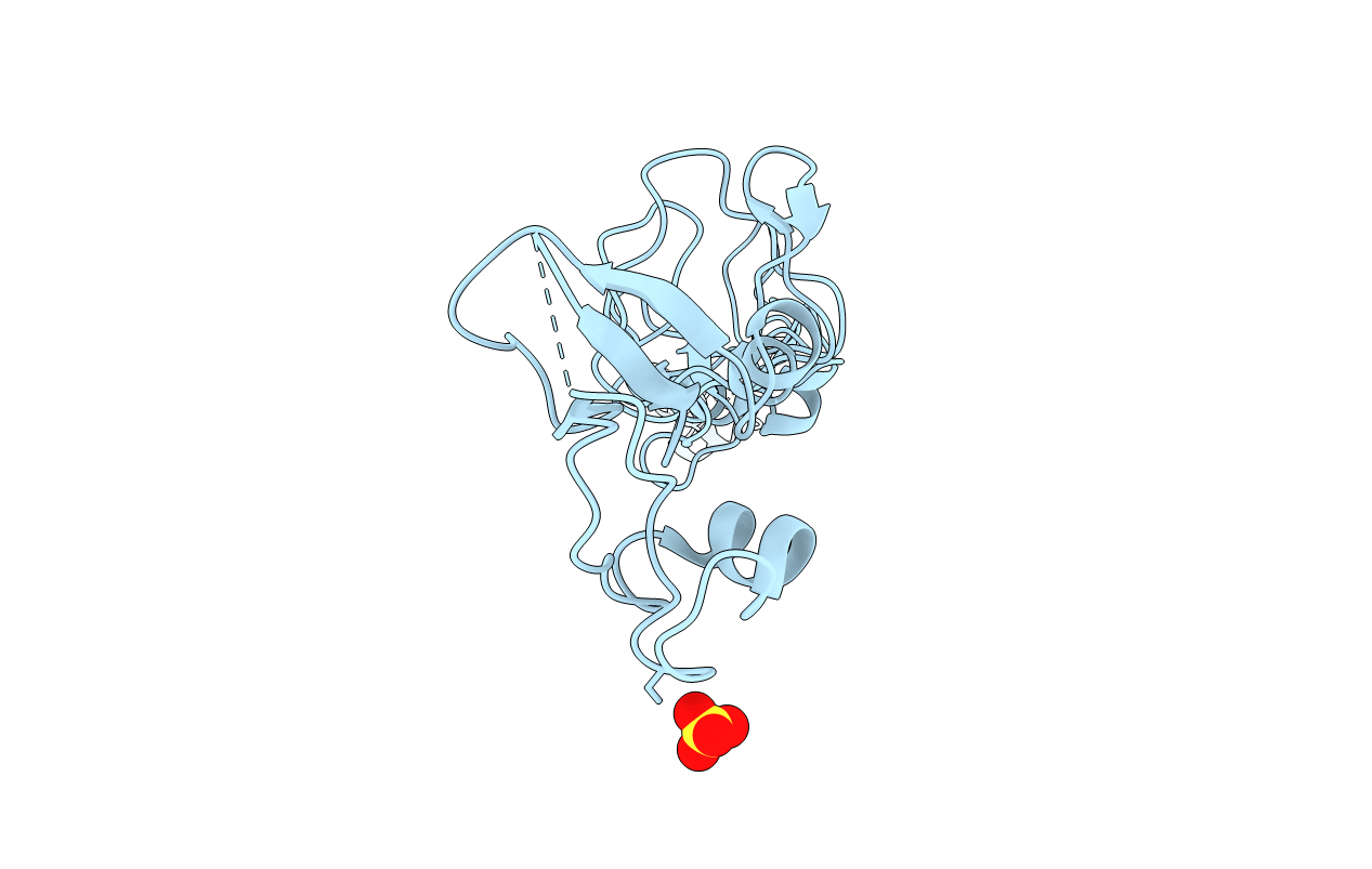 5LYE image