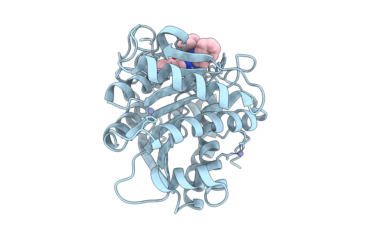 5LYL image
