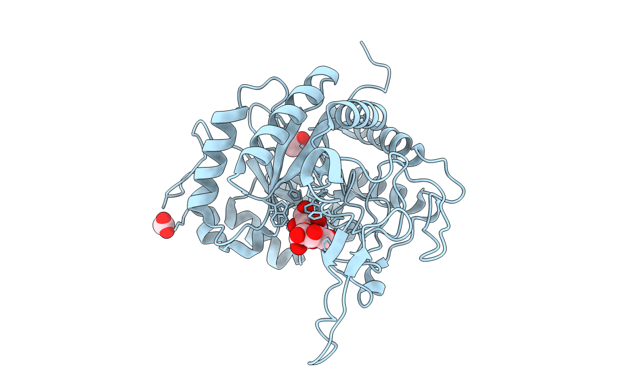 5LYR image