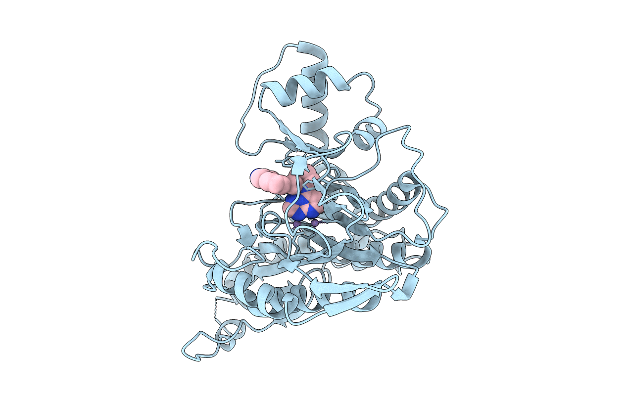 5LYX image