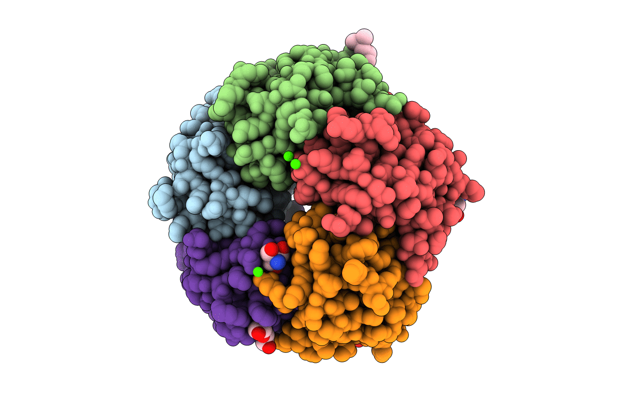 5LZH image