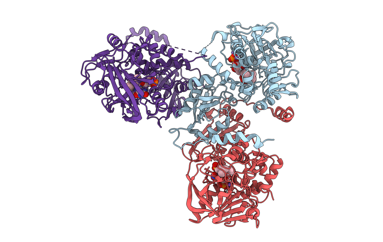 5M1E image