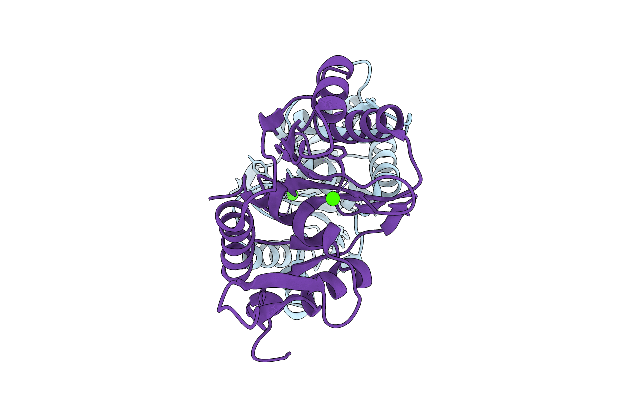 5M1P image
