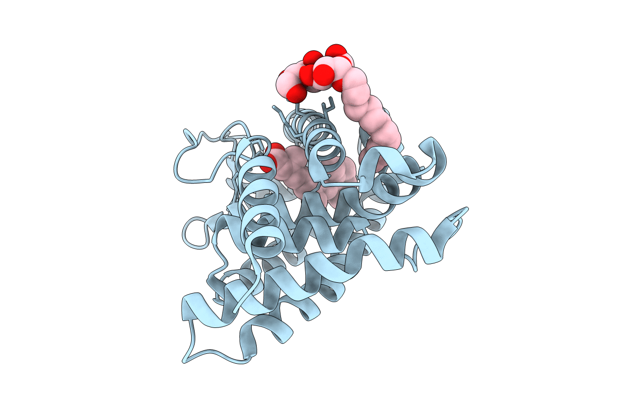 5M24 image