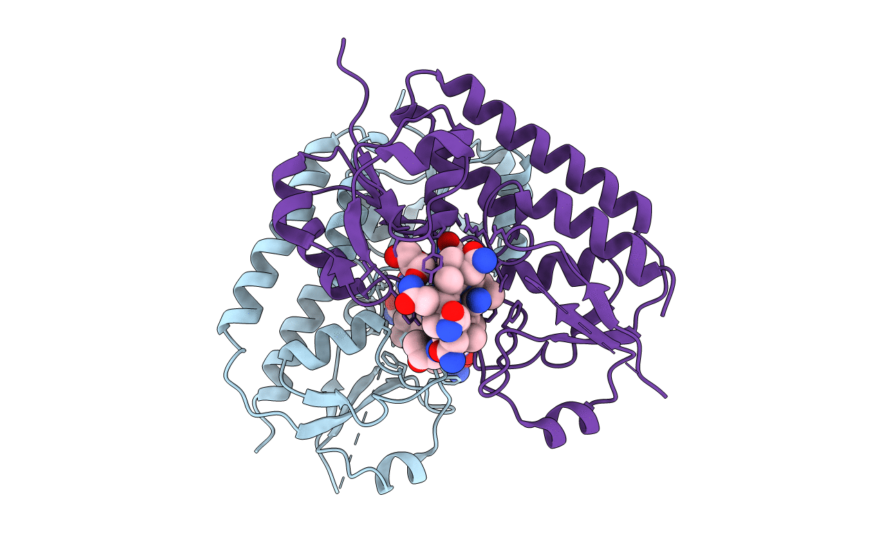 5M34 image