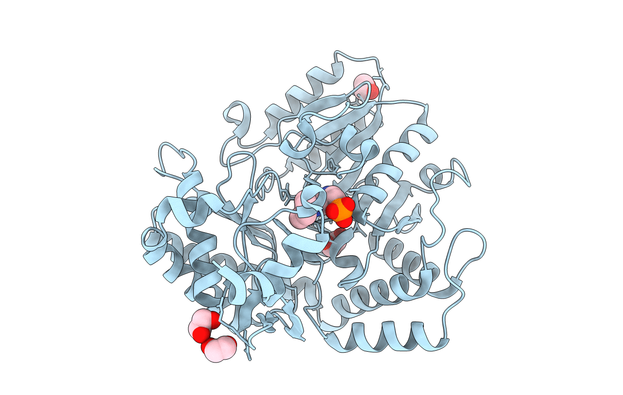 5M4D image