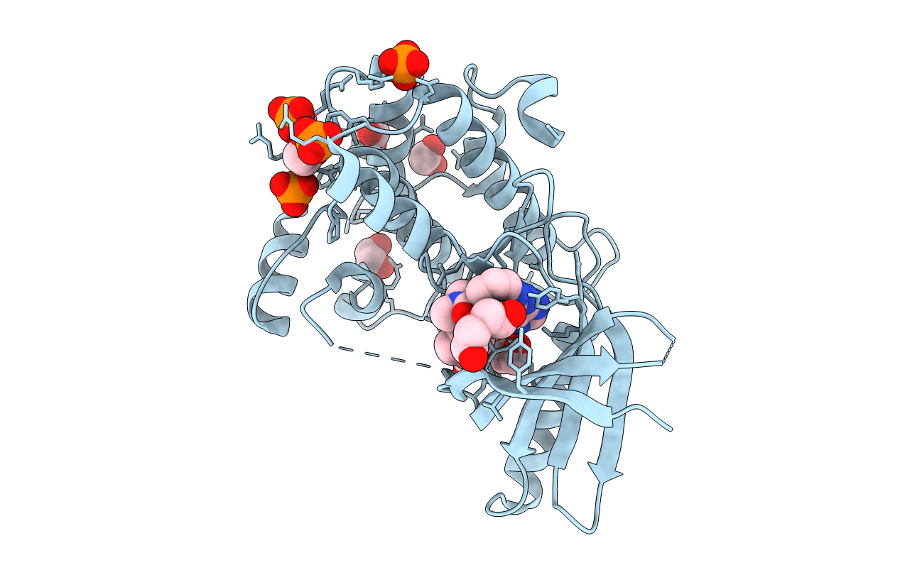 5M53 image