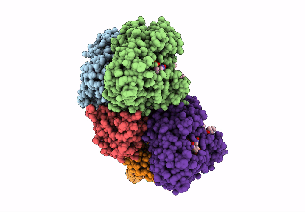 5M5C image