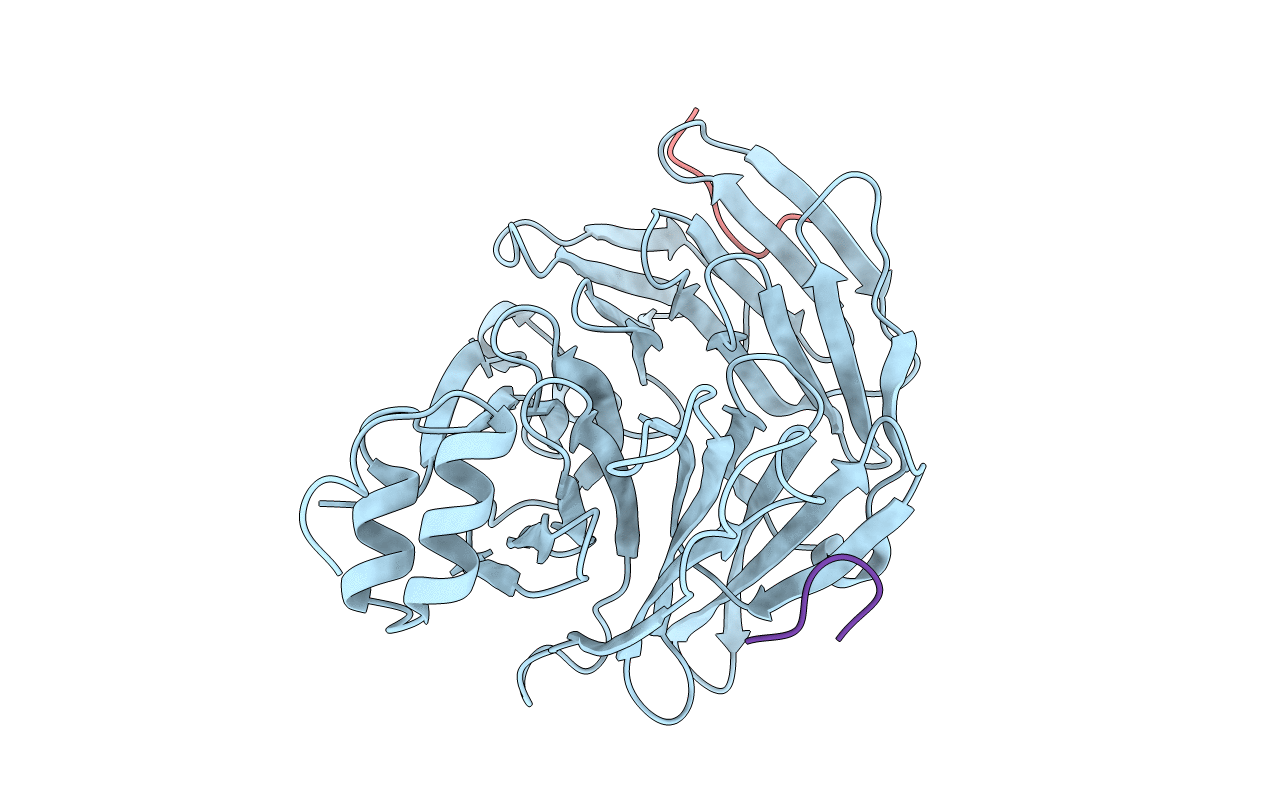 5M5R image