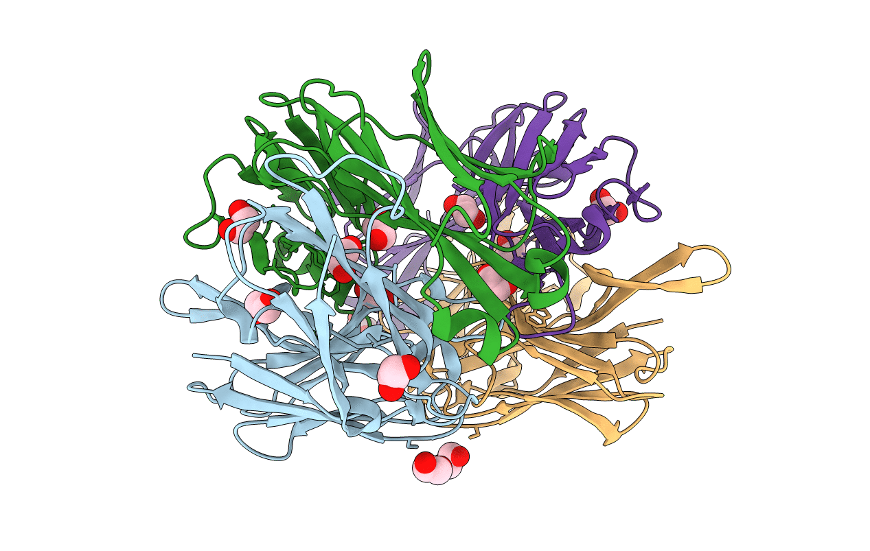 5M63 image