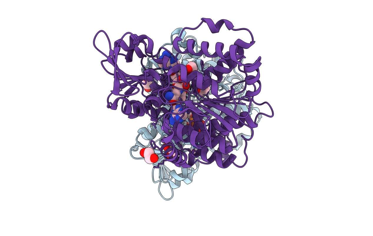 5M65 image