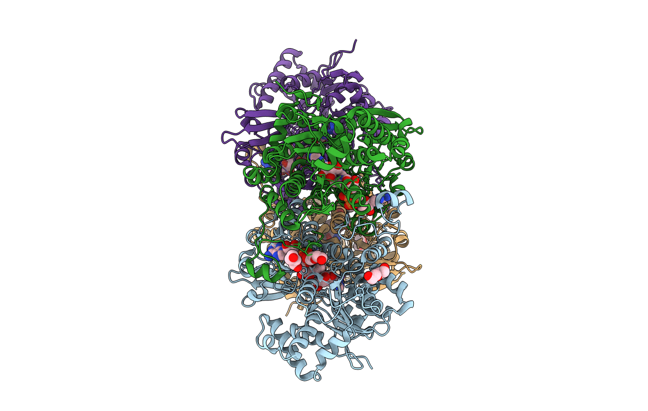 5M66 image