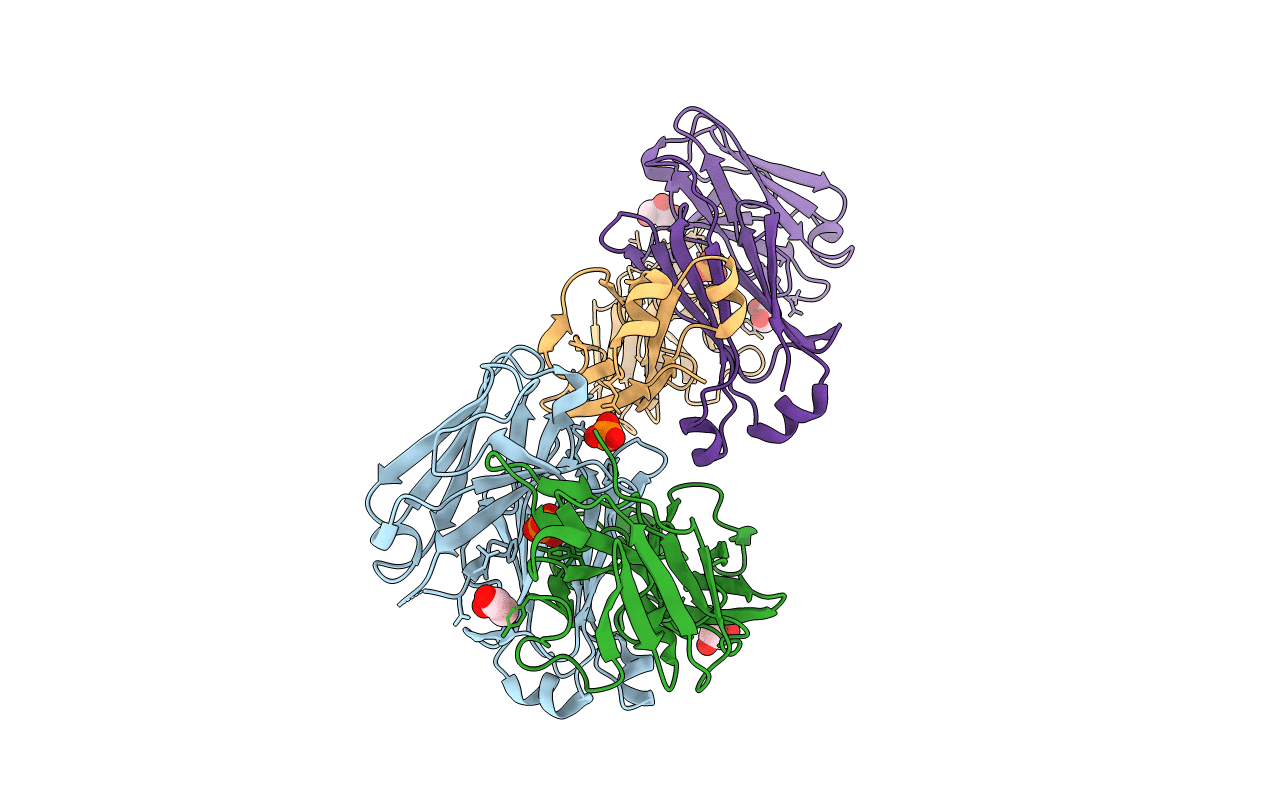 5M6A image