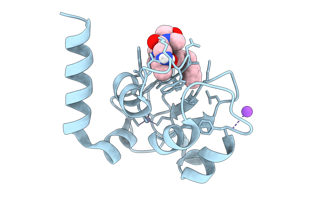 5M6H image