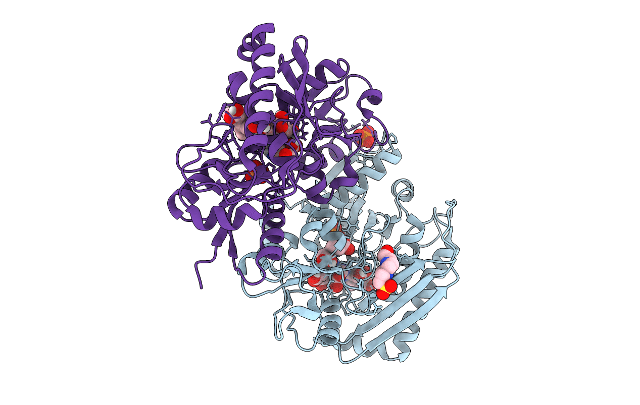 5M6R image