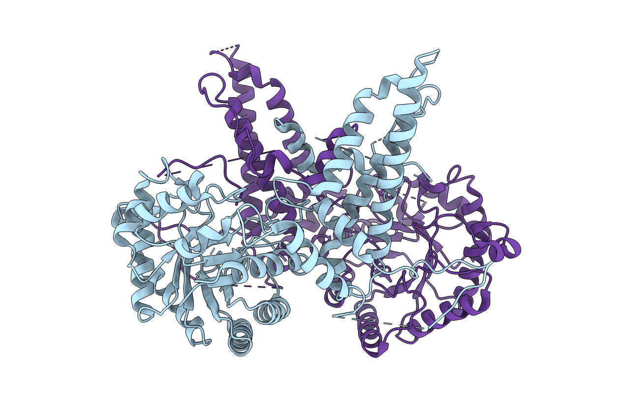 5M7R image