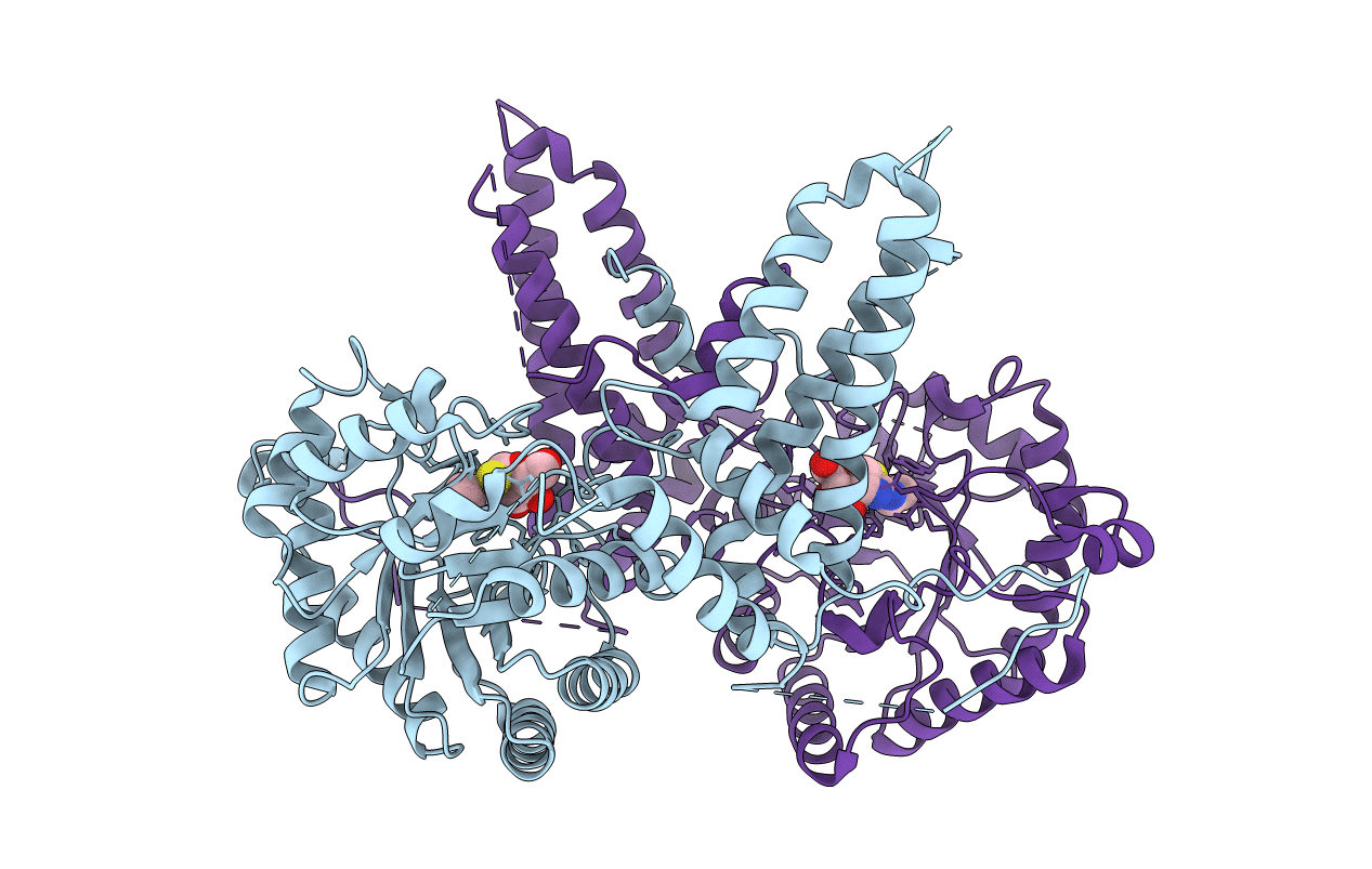 5M7S image