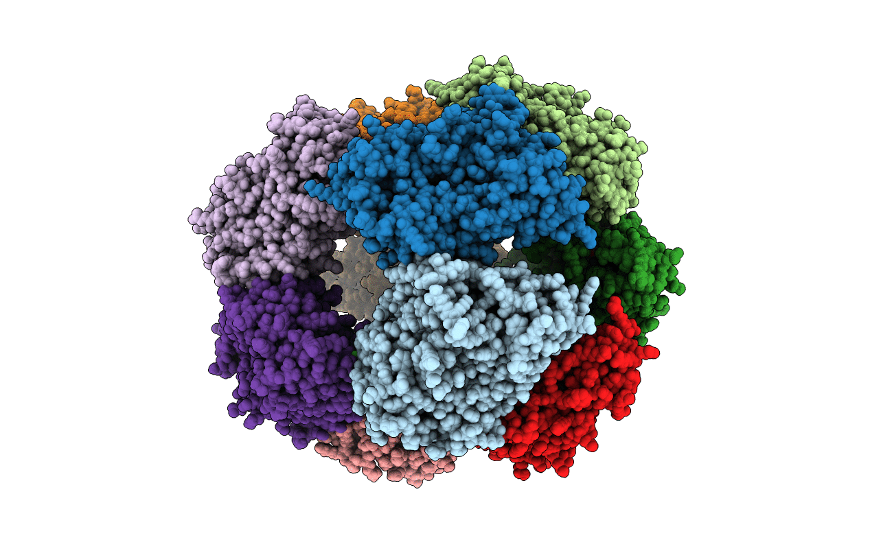 5M86 image