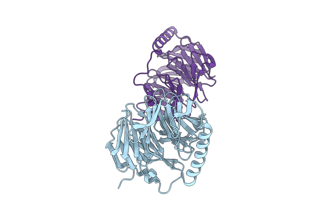5M89 image