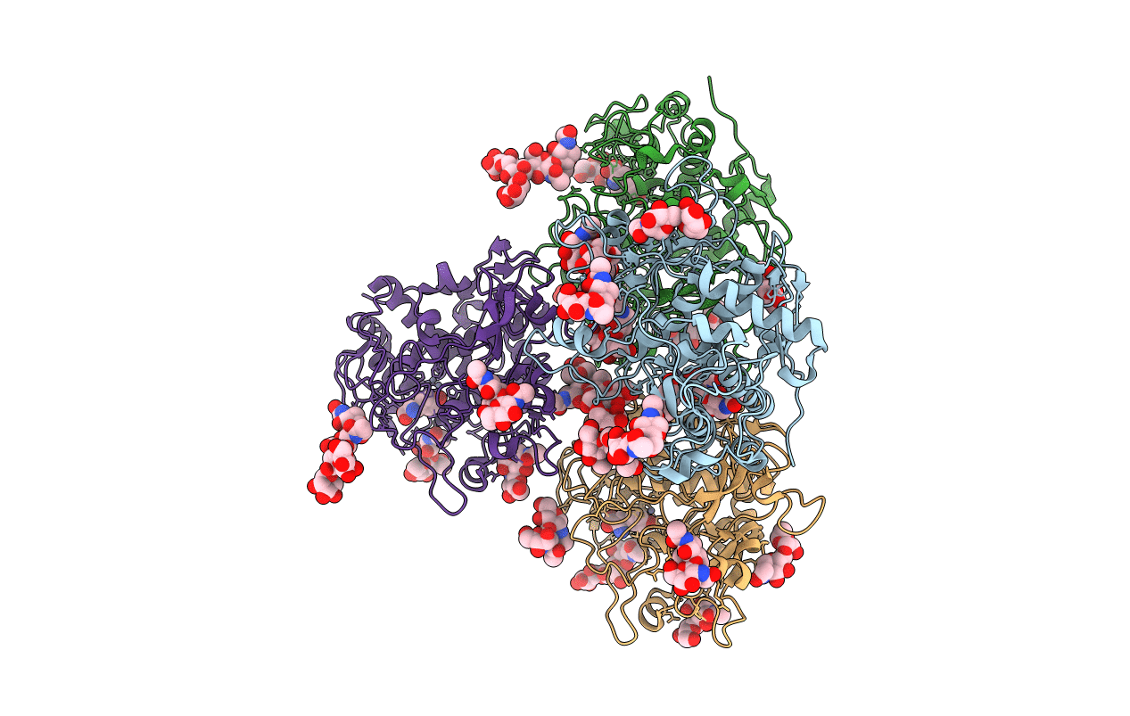 5M8P image