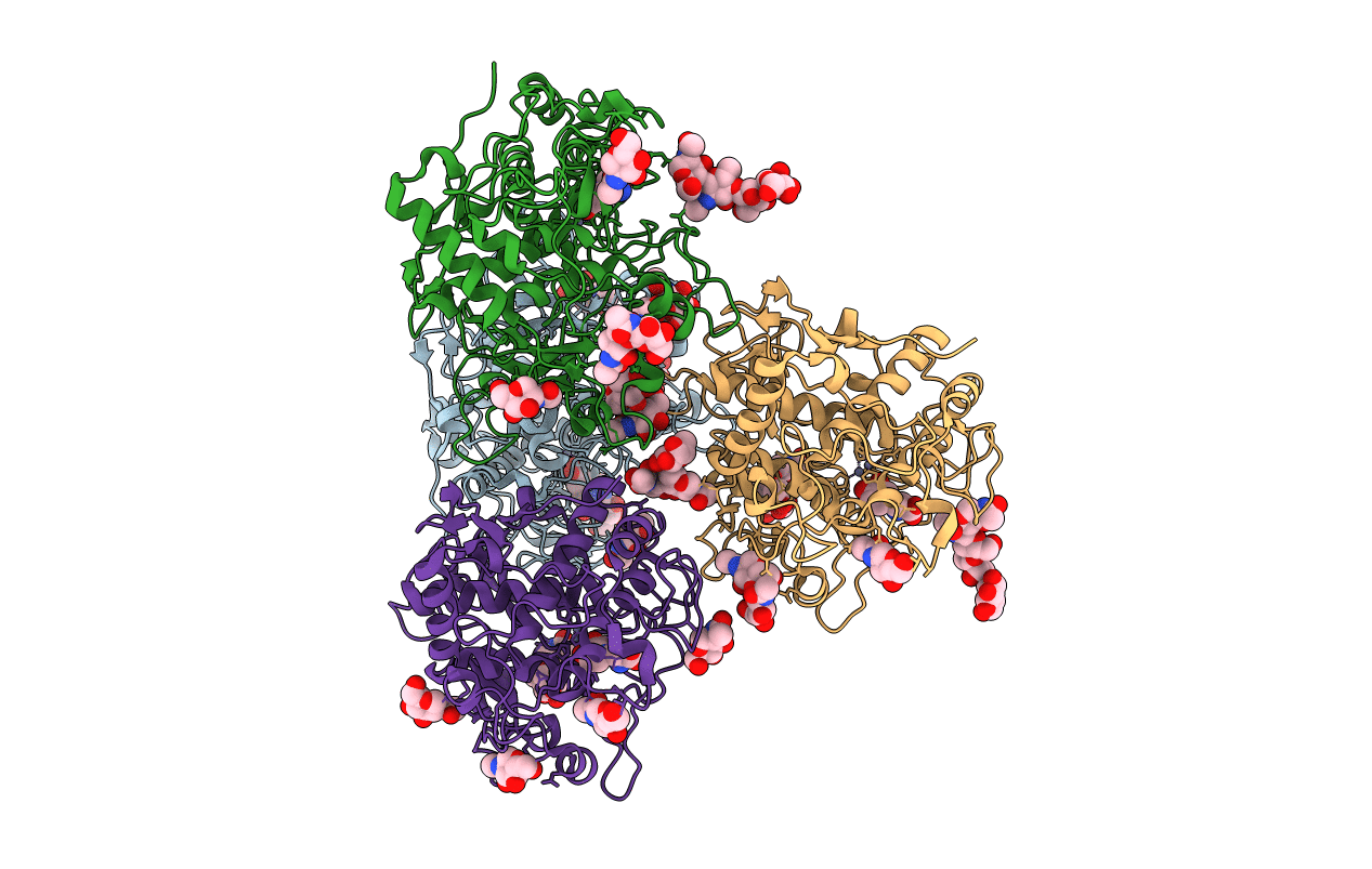 5M8R image